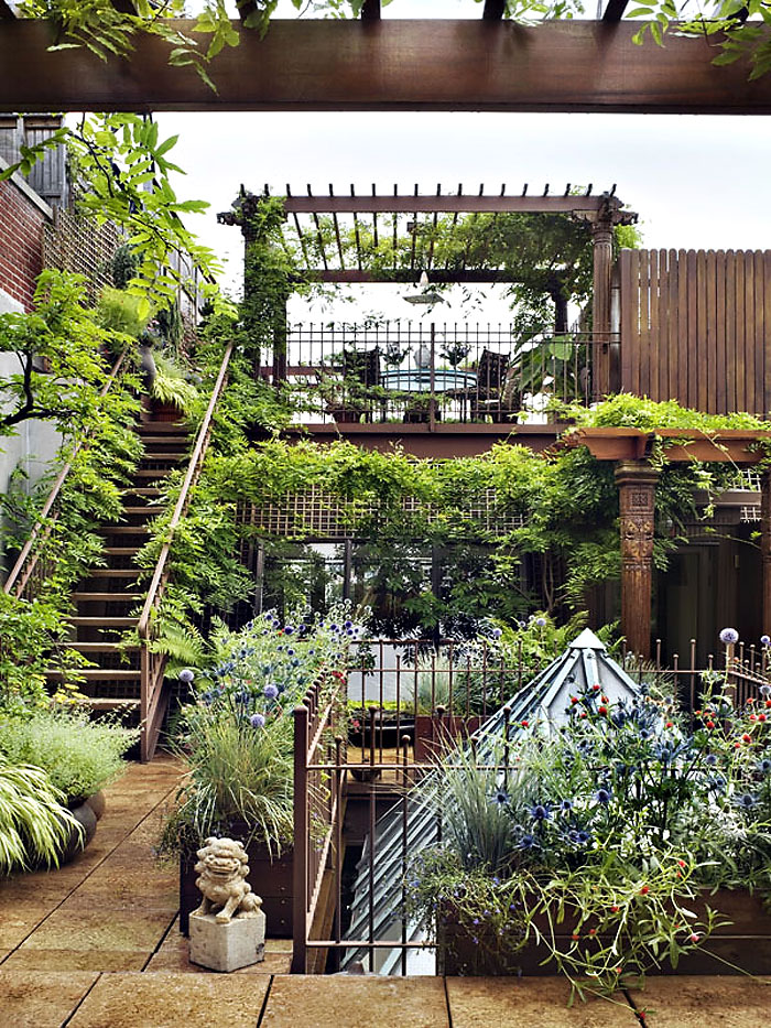 urban garden jungle create space
