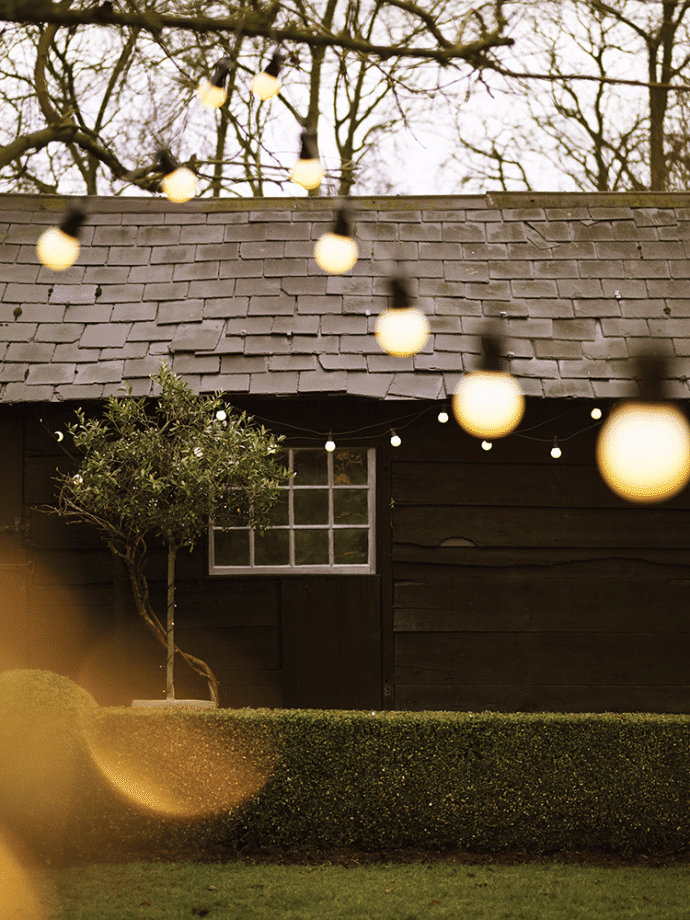 Festoon lights