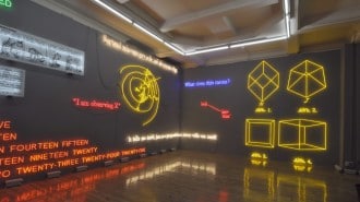 AMNESIA: VARIOUS, LUMINOUS, FIXED. - Joseph Kosuth