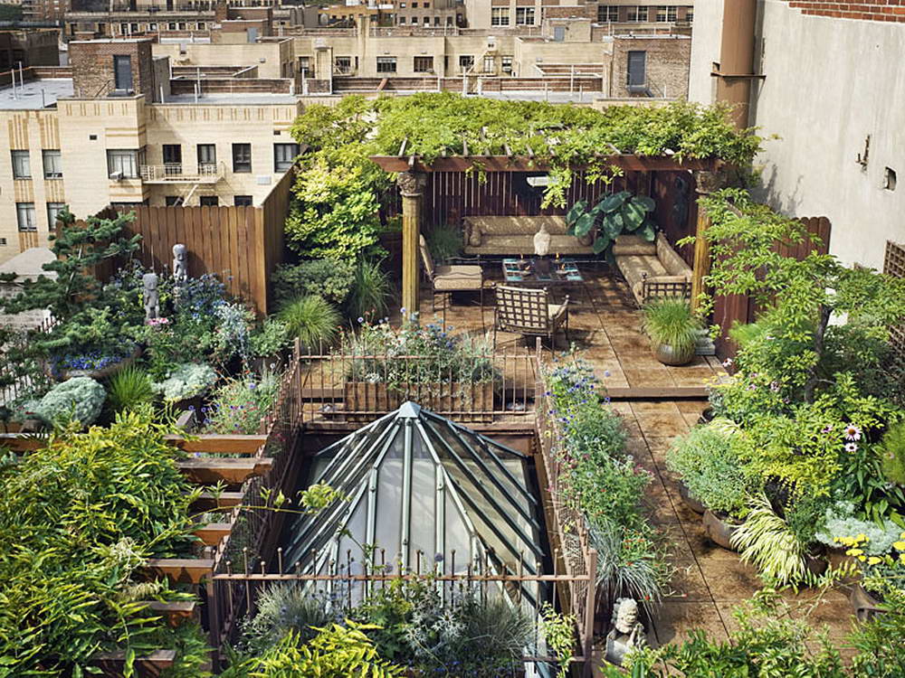 Create An Urban Jungle | London Design Collective