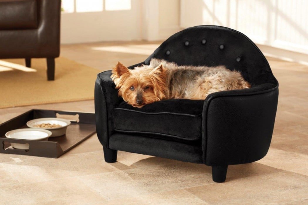 7 Designer Dog Beds For The Modern Home London Design Collective