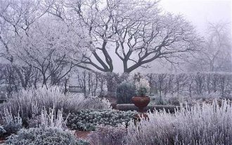 How to Maintain an Attractive Garden in Winter