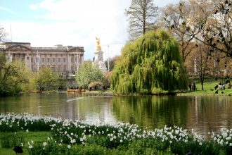 Gardens - Winter To Summer - Buckingham Palace