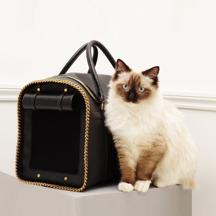 Luxury Products For Pampered Pets - Pink Velvet Dog Bed - Pet Carrier - From Stella McCartney.com