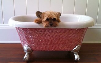 Luxury Products For Pampered Pets - Swarovski Crystal Studded Pet Bathtub - From TheDiamondBathTub.com