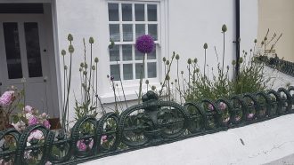 White Wooden Sash Windows With Purple Alium in garden