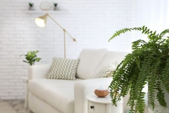 White living room with white sofa and plants
