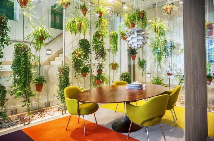 Table and chairs surrounded by hanging plants